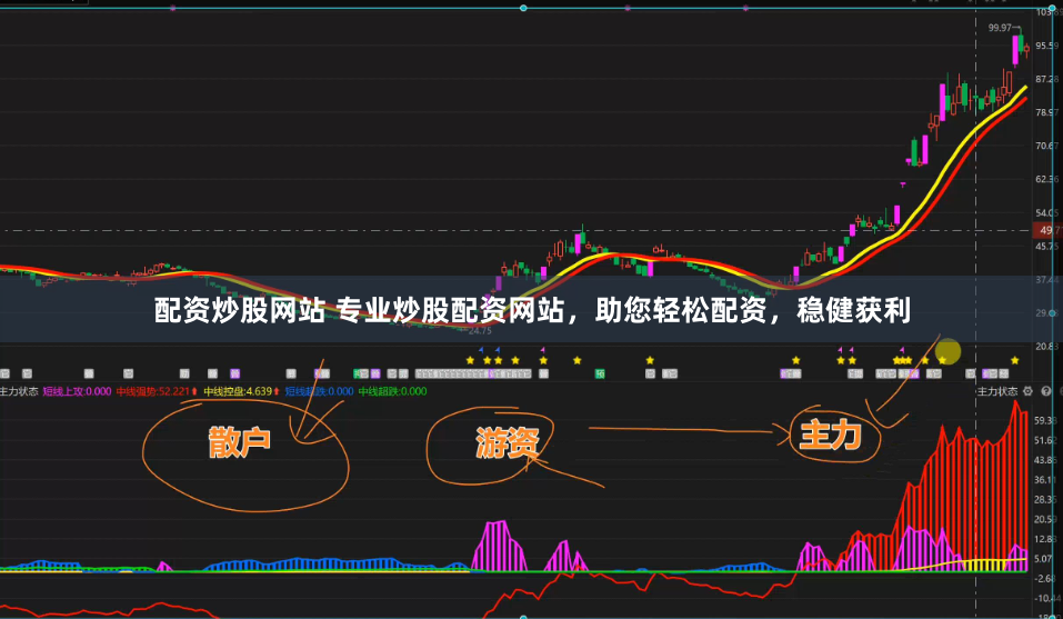 配资炒股网站 专业炒股配资网站，助您轻松配资，稳健获利
