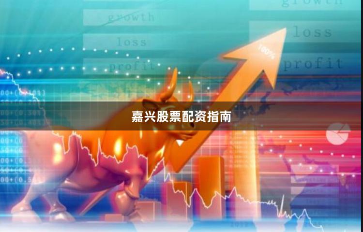嘉兴股票配资指南